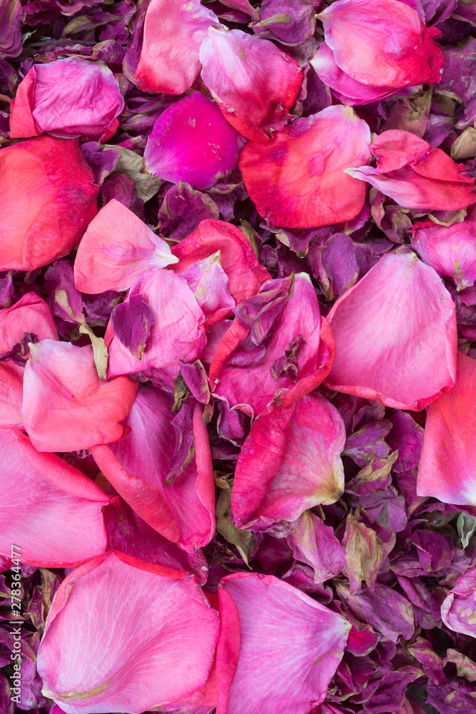Dried rose petals texture background. Dried rose petals texture background.