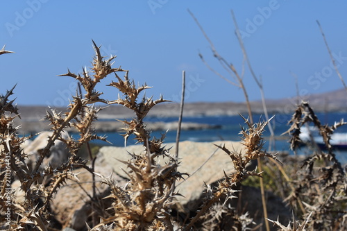 Delos Island, Greece