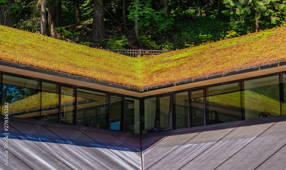 green or living roof with flowering vegetation growing to insulate, filter water and treat air in urban landscapes green or living roof with flowering vegetation growing to insulate, filter water and treat air in urban landscapes