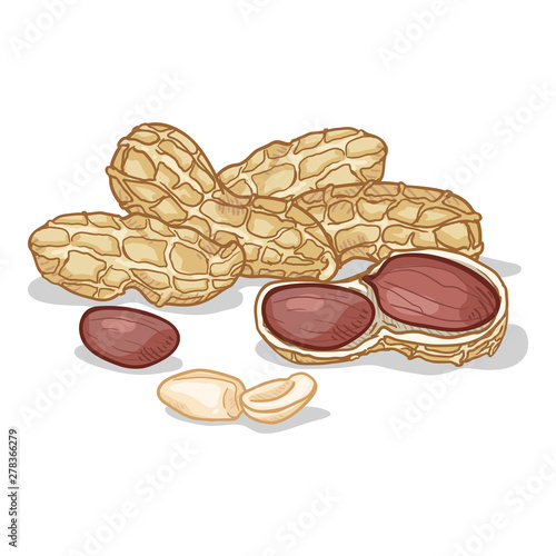 Vector Cartoon Pile of Peanuts