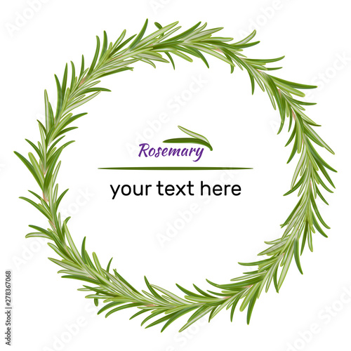 Wreath of rosemary branches. Vector illustration of herbs. Perfect for card, packaging, menu design. Vector illustration.