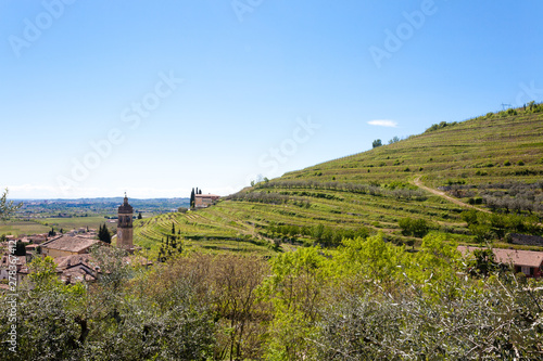 Valpolicella hills landscape  Italian viticulture area  Italy