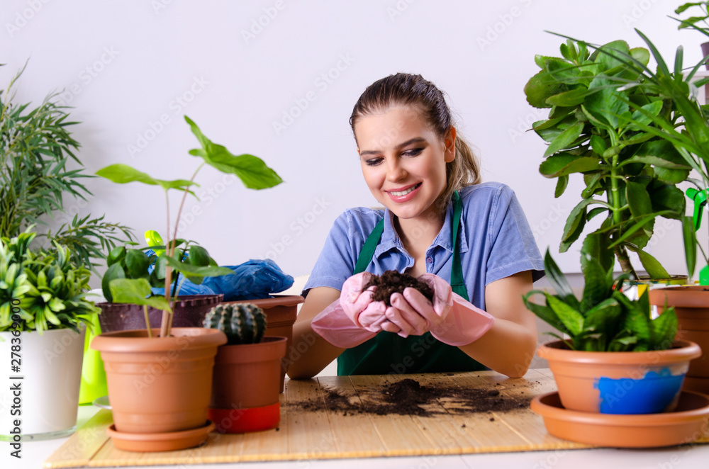 Young female gardener with plants indoors Young female gardener with plants indoors