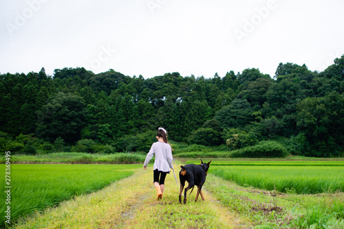 犬の散歩 © hakase420