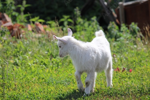 kid on village street