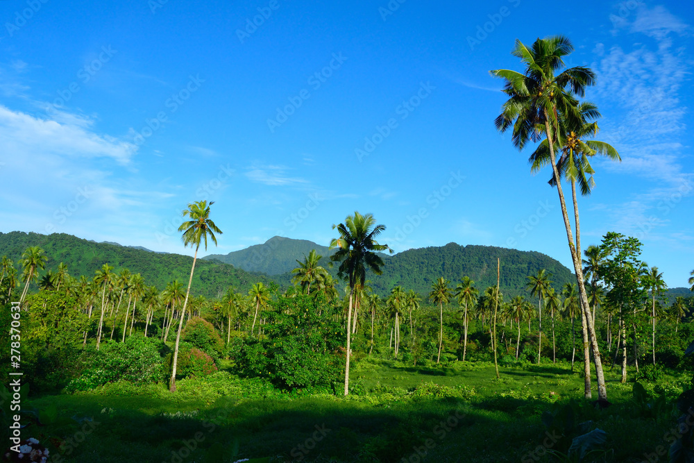 Obraz premium サモア アピアの自然