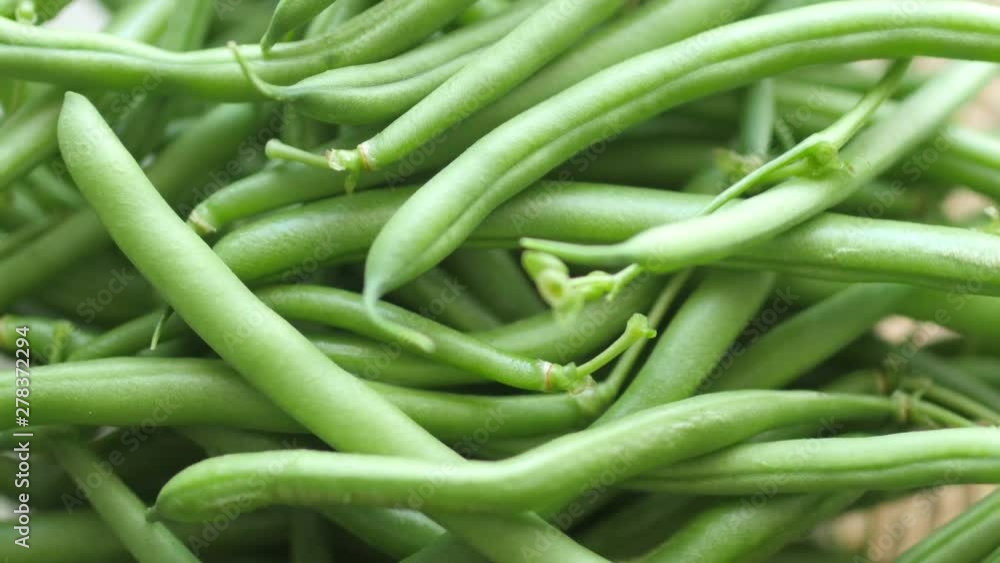 closeup of fresh green asparagus stems. Vegetable dishes. Rotation 360. 4K closeup of fresh green asparagus stems. Vegetable dishes. Rotation 360. 4K