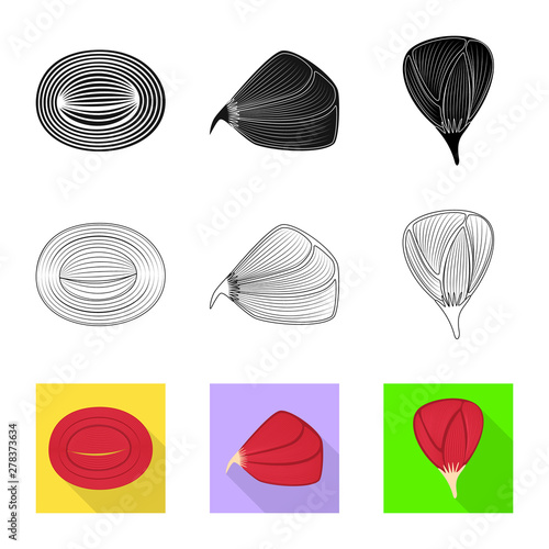 Vector design of fiber and muscular logo. Collection of fiber and body stock symbol for web.