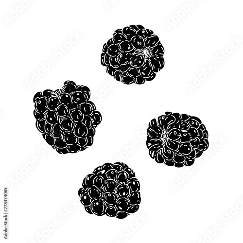 brombeeren einfarbig