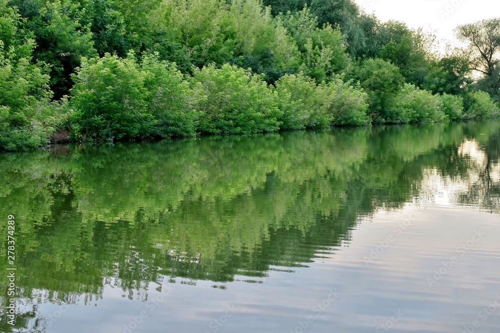 beautiful lake with green trees whose branches fall into the water