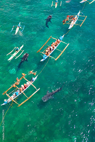 Tourists are watching whale sharks in the town of Oslob, Philippines, aerial view. Summer and travel vacation concept.