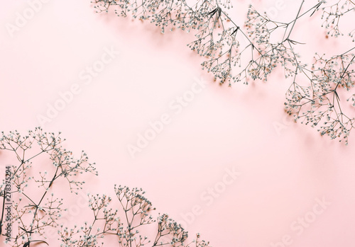 Wedding, summer pastel background. Composition of white flowers on a coral, pink background.