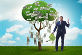 Businessman watering money tree in investment concept