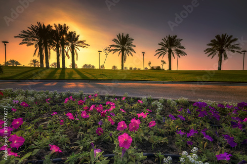 morning drama sunrise view in Modon lake Dammam Saudi Arabia photo