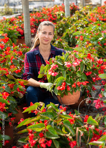 Woman farmer checking blooming begonias