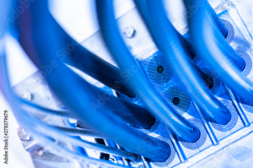 The blue cables on the wall...