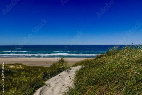 Hirtshals  Denmark A path on the dunes down to the beach on the North Sea.