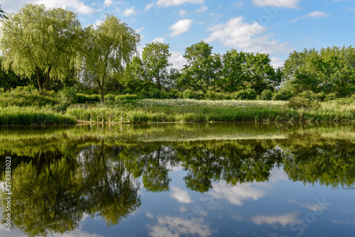 Landscape of the lake at Vestbirk in Denmark