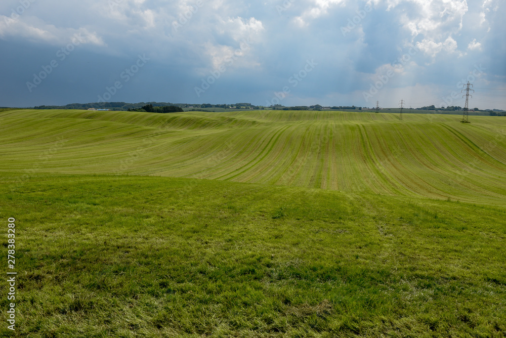 Fototapeta premium Landscape of a green meadow in Denmark