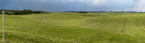 Landscape of a green meadow in Denmark