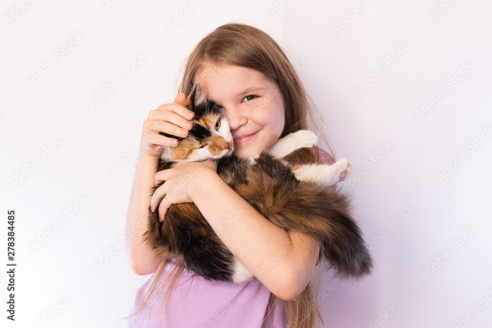 Little cute girl holding a tricolor cat and hugs her, on a light background