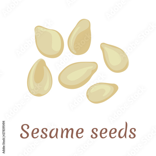 Sesame seeds icon isolated on white background. Vector illustration in cartoon flat simple style.