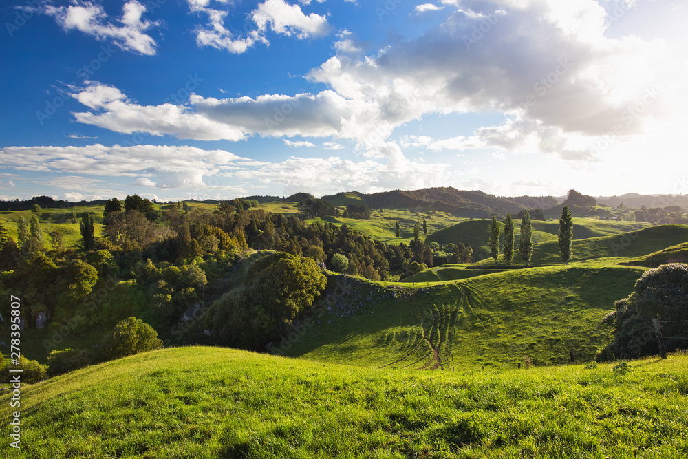 New Zealand Countryside Scenery, Waitomo Area