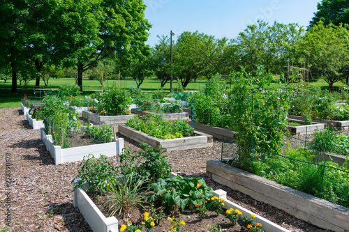 Planters at a Community Garden in a Park in Edgewater Chicago