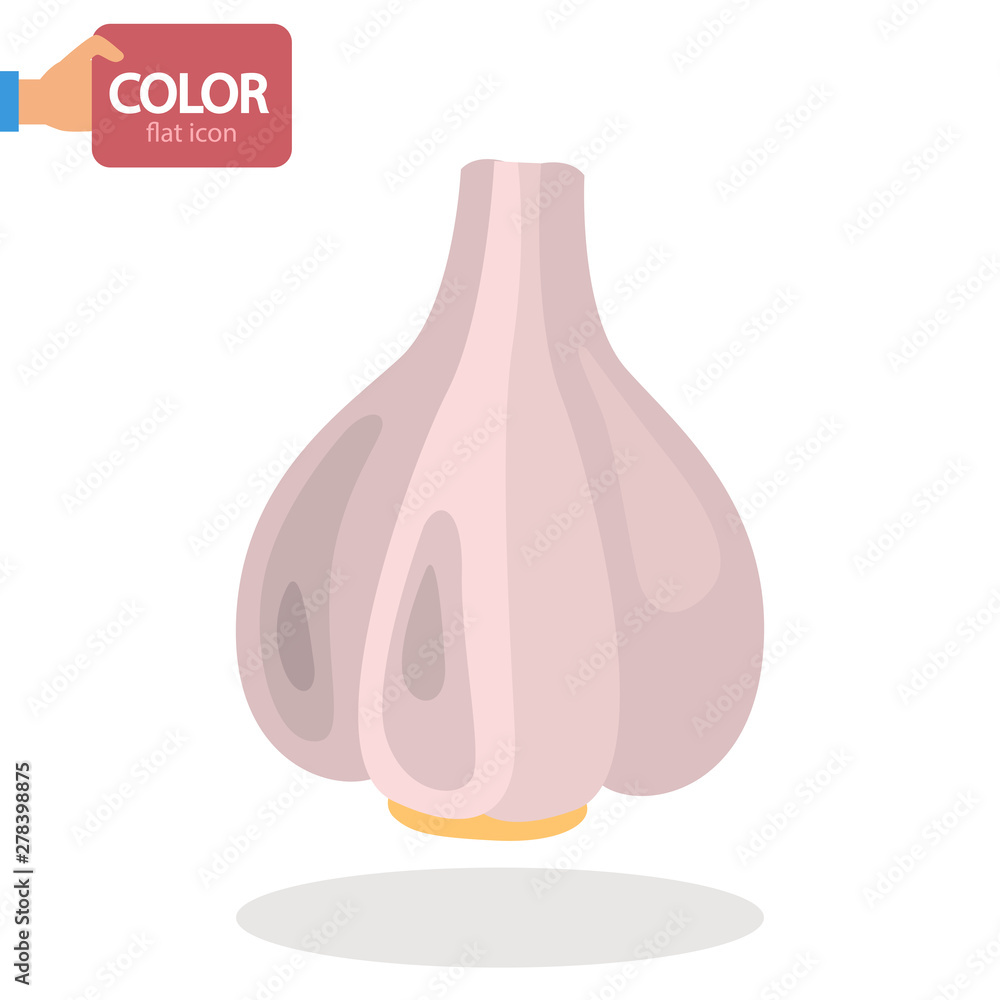 Garlic color vector icon. Flat design