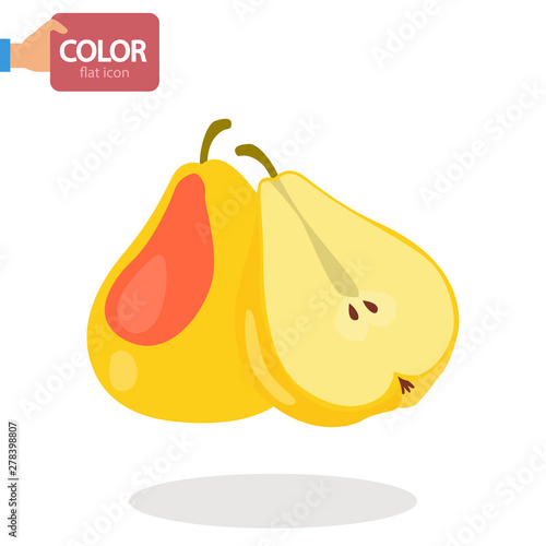 Pears fruit color vector icon. Flat design