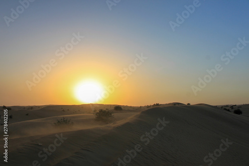 sunset in the desert © reiharp