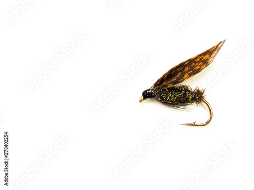 Fototapeta Naklejka Na Ścianę i Meble -  Alder Wet Trout Fly fishing Fly