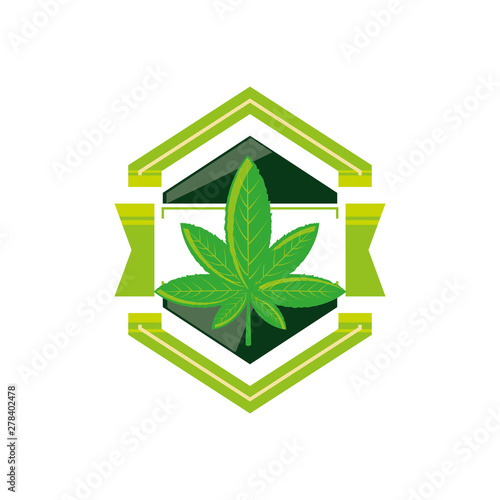 frame with cannabis leaf plant