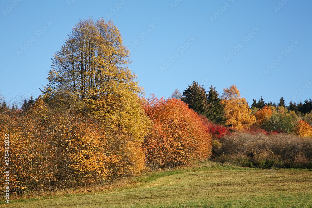 Naklejka premium Landscape near Cesky Krumlov. Czech republic