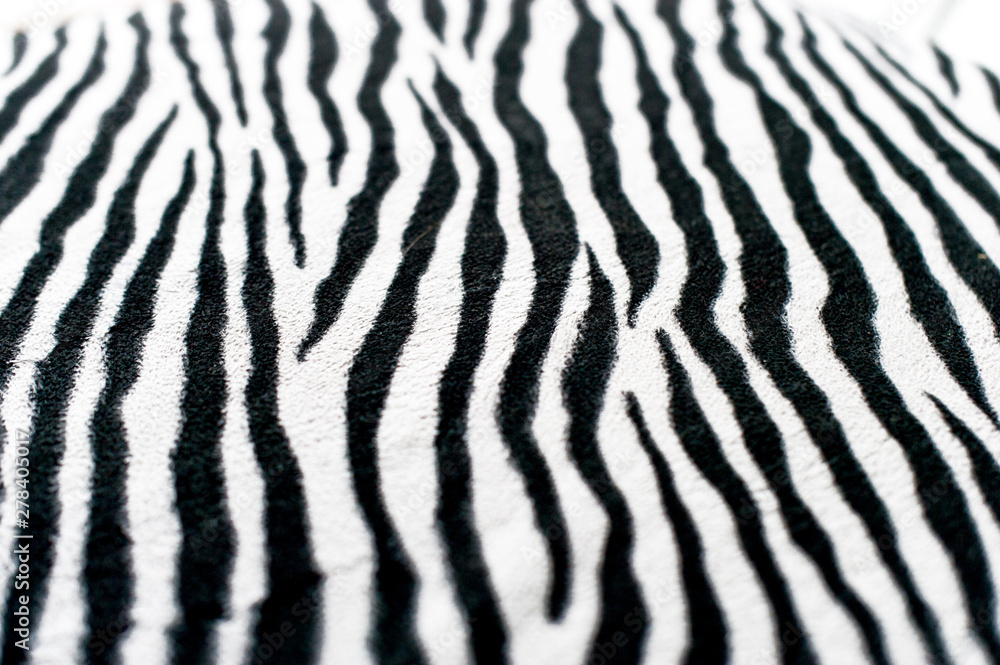 Zebra black and white background image Beautiful visual concept