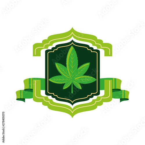 frame with cannabis leaf plant and ribbon