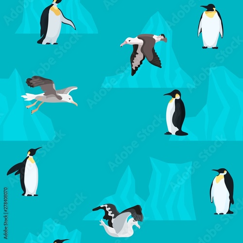 colorful poster for albatrosses and penguins