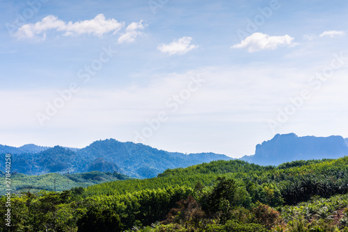 landscape of green hill mountain view at Surat Thani province, Thailand