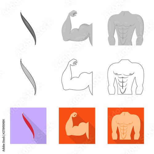 Isolated object of fiber and muscular icon. Set of fiber and body vector icon for stock.
