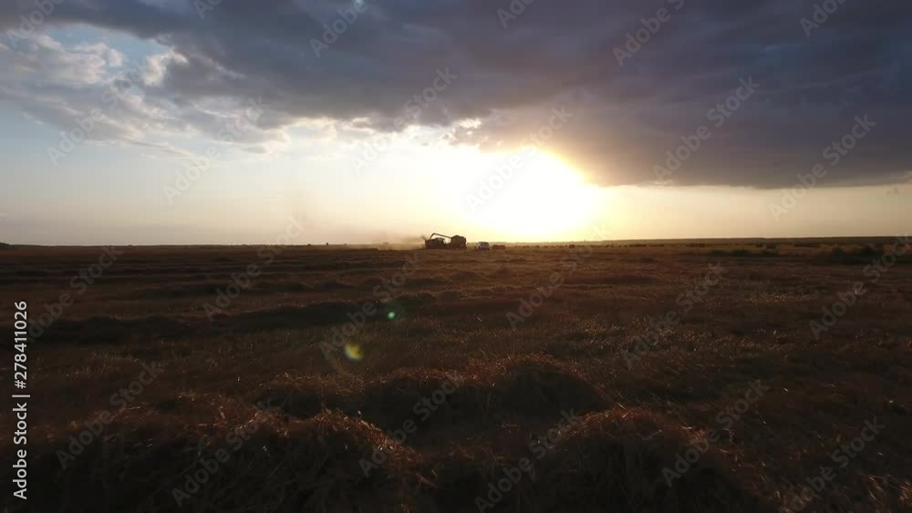 sunset on wheat field tractor and harvester sunset on wheat field tractor and harvester