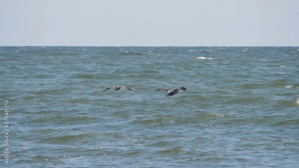Geese flying in an imperfect formation. Slow motion. Birds Geese flying in formation above water in storm. Migrating Greater birds, flying in windy weather over large waves during hurricane at sea. Geese flying in an imperfect formation. Slow motion. Birds Geese flying in formation above water in storm. Migrating Greater birds, flying in windy weather over large waves during hurricane at sea.