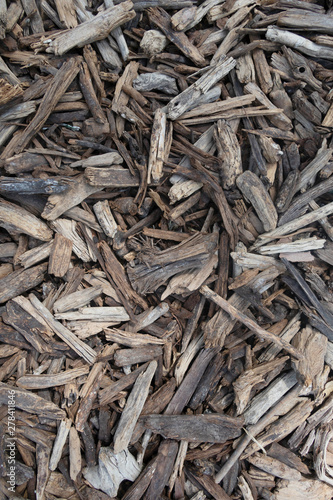 Wallpaper Mural Wooden tree sticks forming a texture Torontodigital.ca