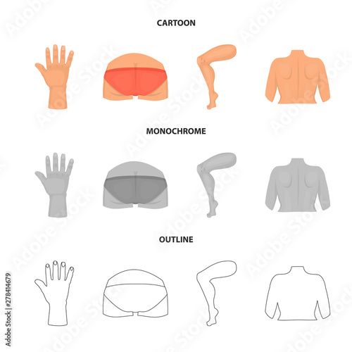Vector design of body and part symbol. Set of body and anatomy vector icon for stock.
