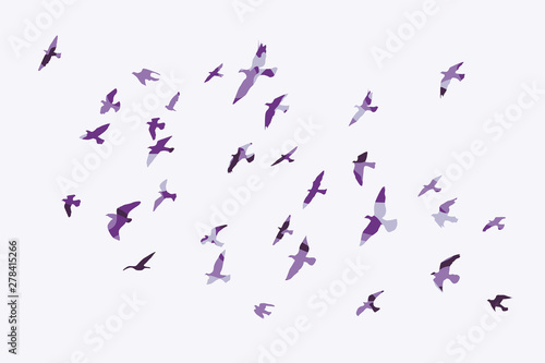 silhouette of a flock of flying birds