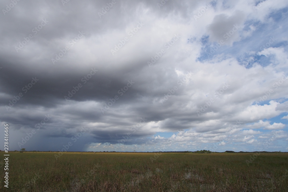 Rainclouds over the expanse of sawgrass in Everglades National Park, Florida. Rainclouds over the expanse of sawgrass in Everglades National Park, Florida.