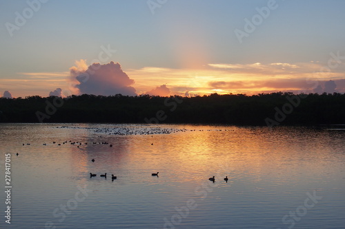 Sunrise over West Lake in Everglades national Park  Florida.