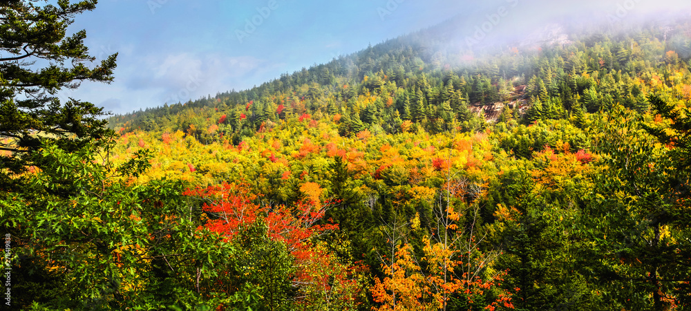 Fog rolling over the colorful fall foliage on the hillside of Acadia National Park