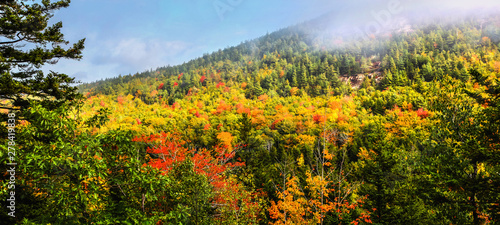 Fototapeta Naklejka Na Ścianę i Meble -  Fog rolling over the colorful fall foliage on the hillside of Acadia National Park