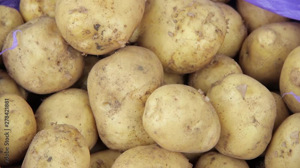 pile of fresh potatoes on market pile of fresh potatoes on market