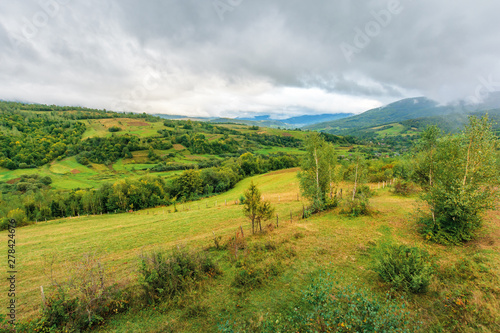 beautiful countryside on an overcast day. carpathian rural district in mountains. overcast rainy september sky. birch trees on hill near agricultural fields on the slope. village in the valley